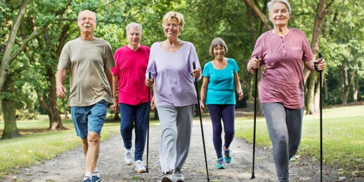 Marche santé pour les seniors : découvrez les bienfaits physiques et mentaux de cette pratique douce en plein air