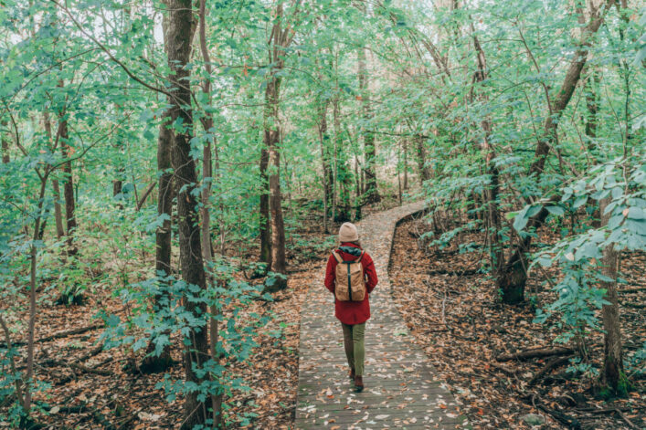 marche pleine conscience en forêt