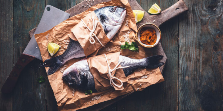 Bioaccumulation des polluants : quels poissons consommer ?