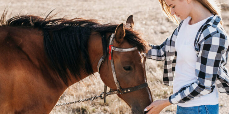Équithérapie : quand les chevaux prennent soin de notre santé
