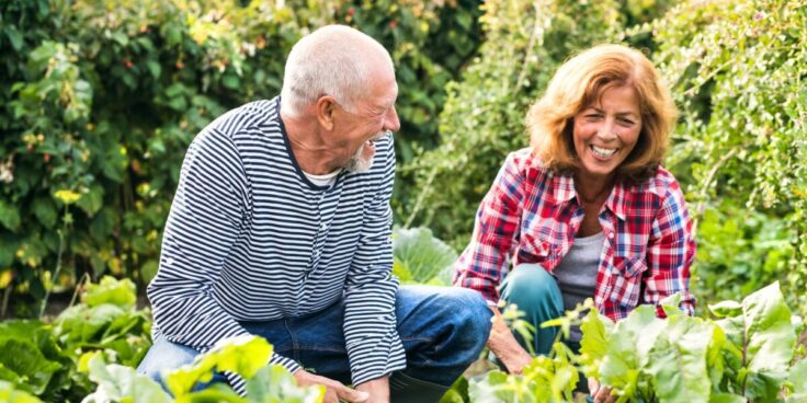 Jardinage et bienfaits santé : est-il bon de se mettre au vert ?